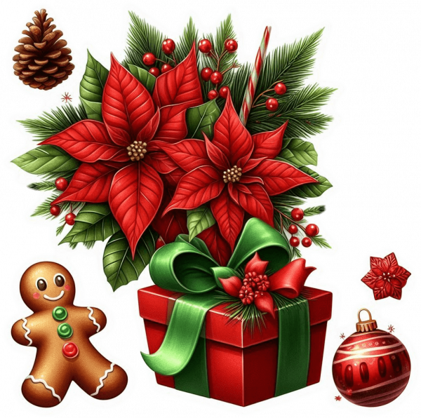 Regalo Combinado Navideño 05