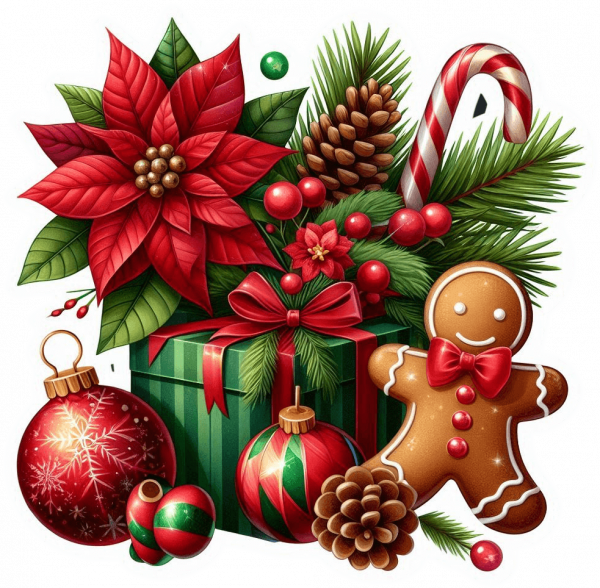 Regalo Combinado Navideño 07