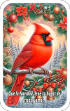 Cardenal de Navidad 03F