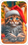 Gato de Navidad 01F