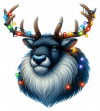 Reno Navideño 09