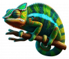 Camaleón de Pantera (Furcifer pardalis) 01