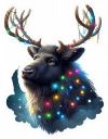 Reno Navideño 05