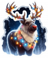 Reno Navideño 10