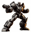 Ironhide 10