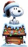 Snoopy y su Casita navideña 03
