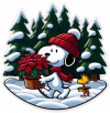 Snoopy y woodstock con Poinsettias de Navidad 02