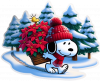 Snoopy y woodstock con Poinsettias de Navidad 05