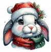 Conejo busto Navideño 02