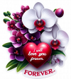 bouquet11