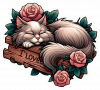 Gatico Durmiendo01