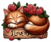Gatico Durmiendo03