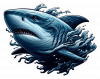 tiburon01