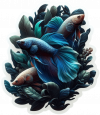 Betta01