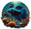 Betta03