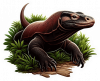 Dragon de Komodo07