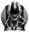 Xenomorfo
