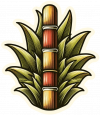 Azucar
