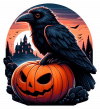 Cuervo sobre calabaza