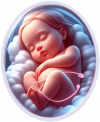 Bebe por Nacer