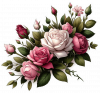 Rosas Rosadas y Blancas