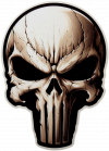The punisher