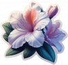 Azalea