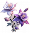 Colorado Columbine
