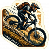 Bicicleta Montaña