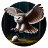 Bubo scandiacus