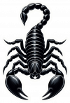 Escorpion Negro
