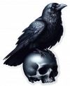 Calavera y Cuervo