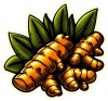 Curcuma