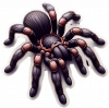 Tarantula