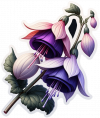 Malva Sylvestris