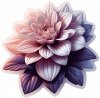 Dalia
