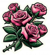 Rosas Rosadas