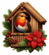 Robin Navideño