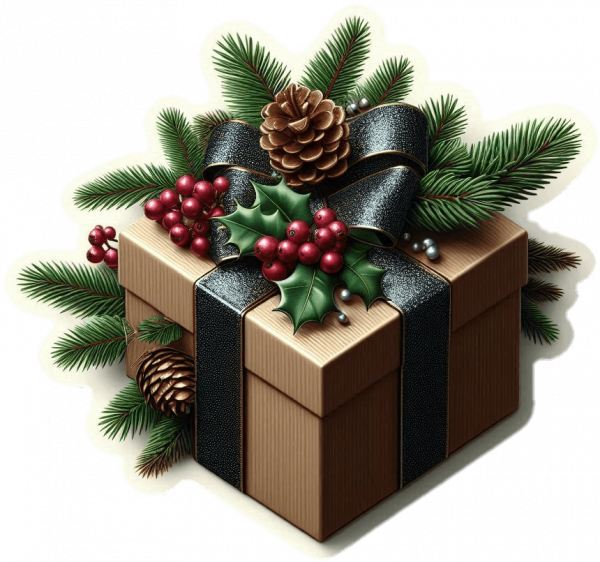 Regalo De Navidad