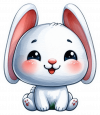 Conejo Bebe