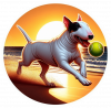 Bull terrier jugando en la Playa