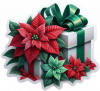 Regalo de Navidad