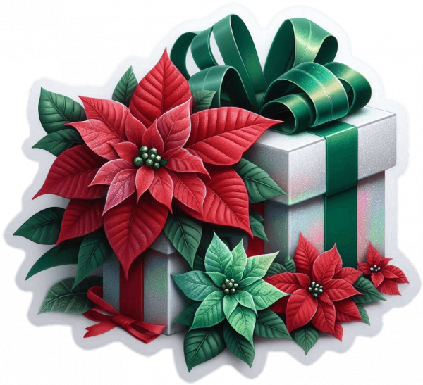 Regalo de Navidad