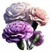 Clavel