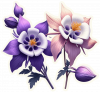 Colorado Columbine
