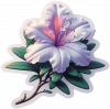 Azalea