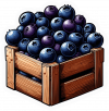Acai