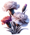 Clavel