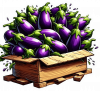 Berenjena