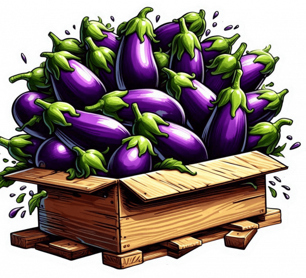 Berenjena